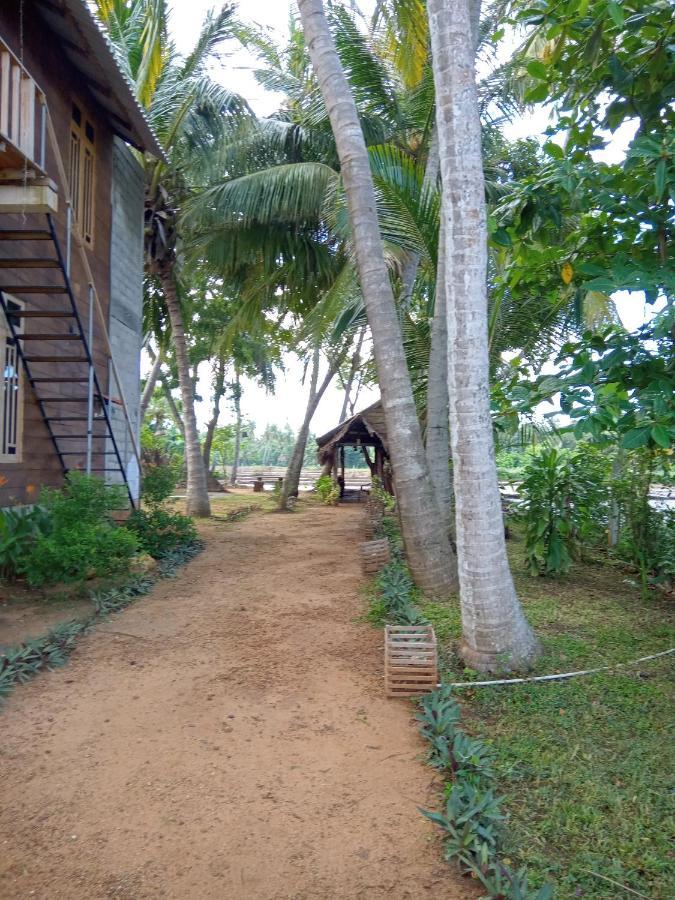 Coconut Island Yala Safari Place Tissamaharama Exteriör bild
