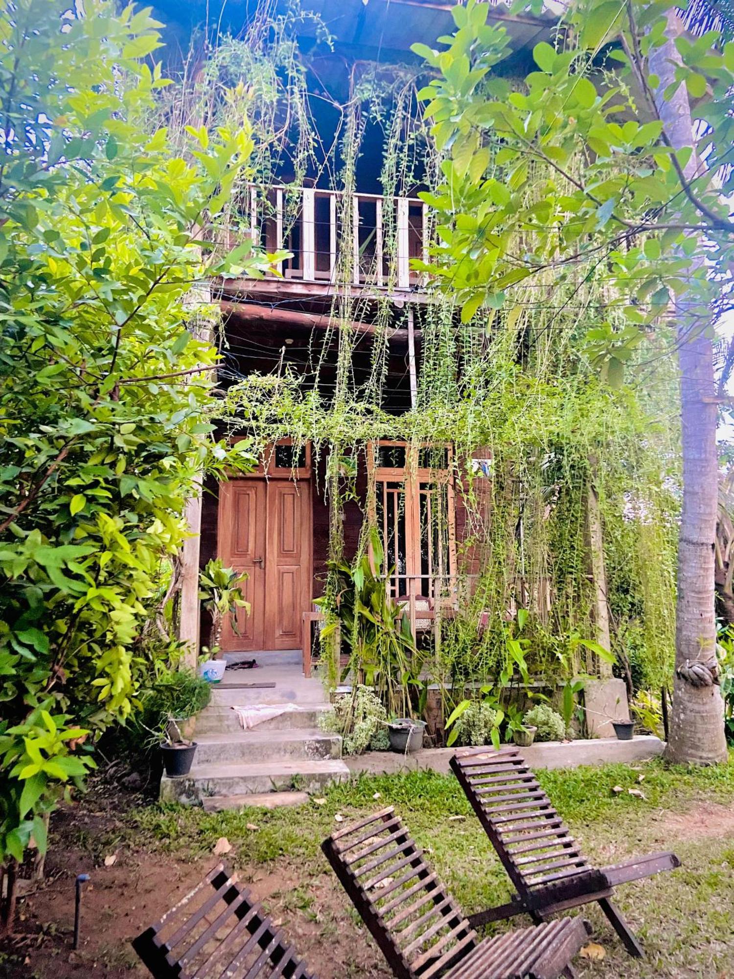 Coconut Island Yala Safari Place Tissamaharama Exteriör bild