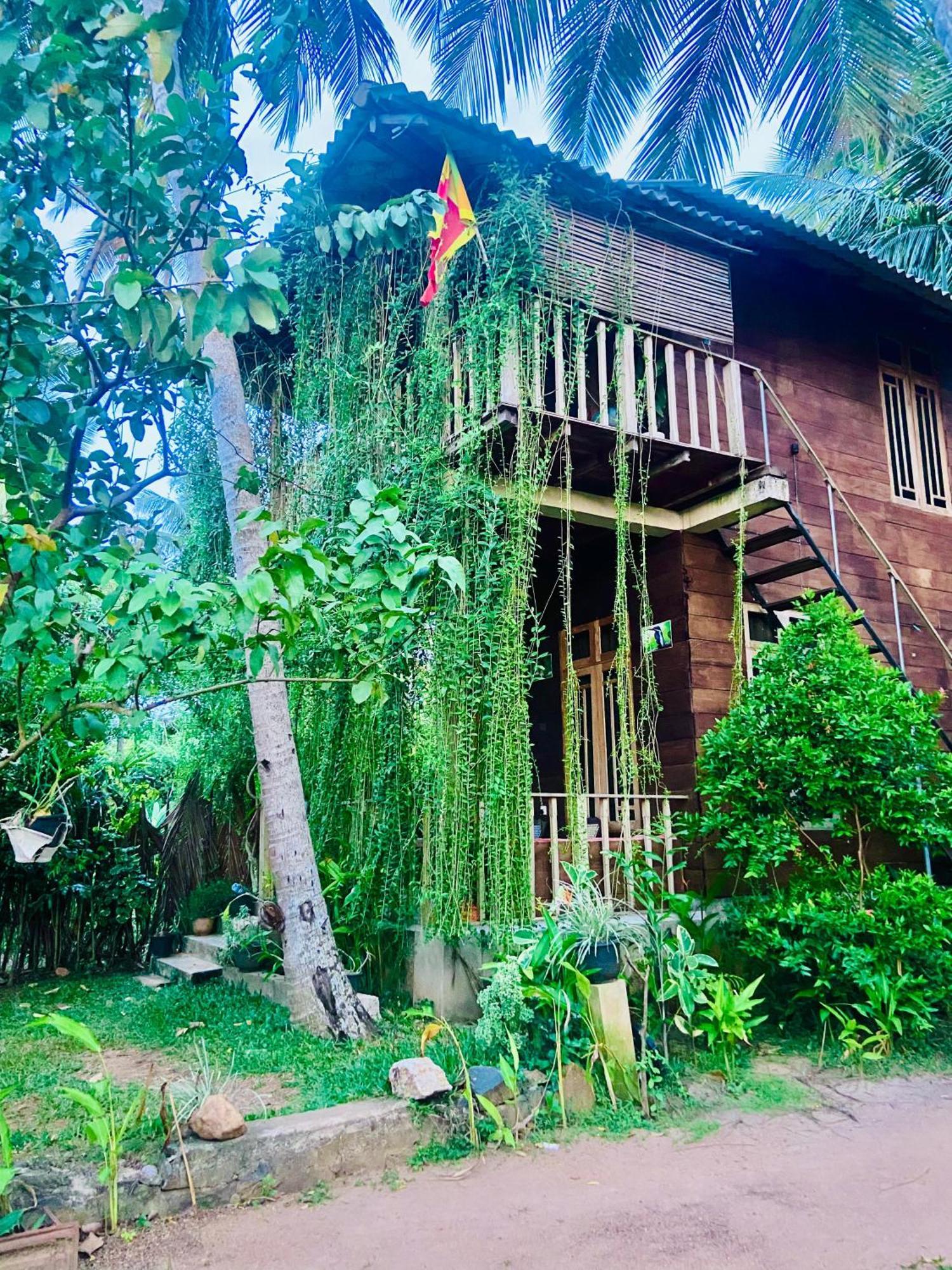 Coconut Island Yala Safari Place Tissamaharama Exteriör bild