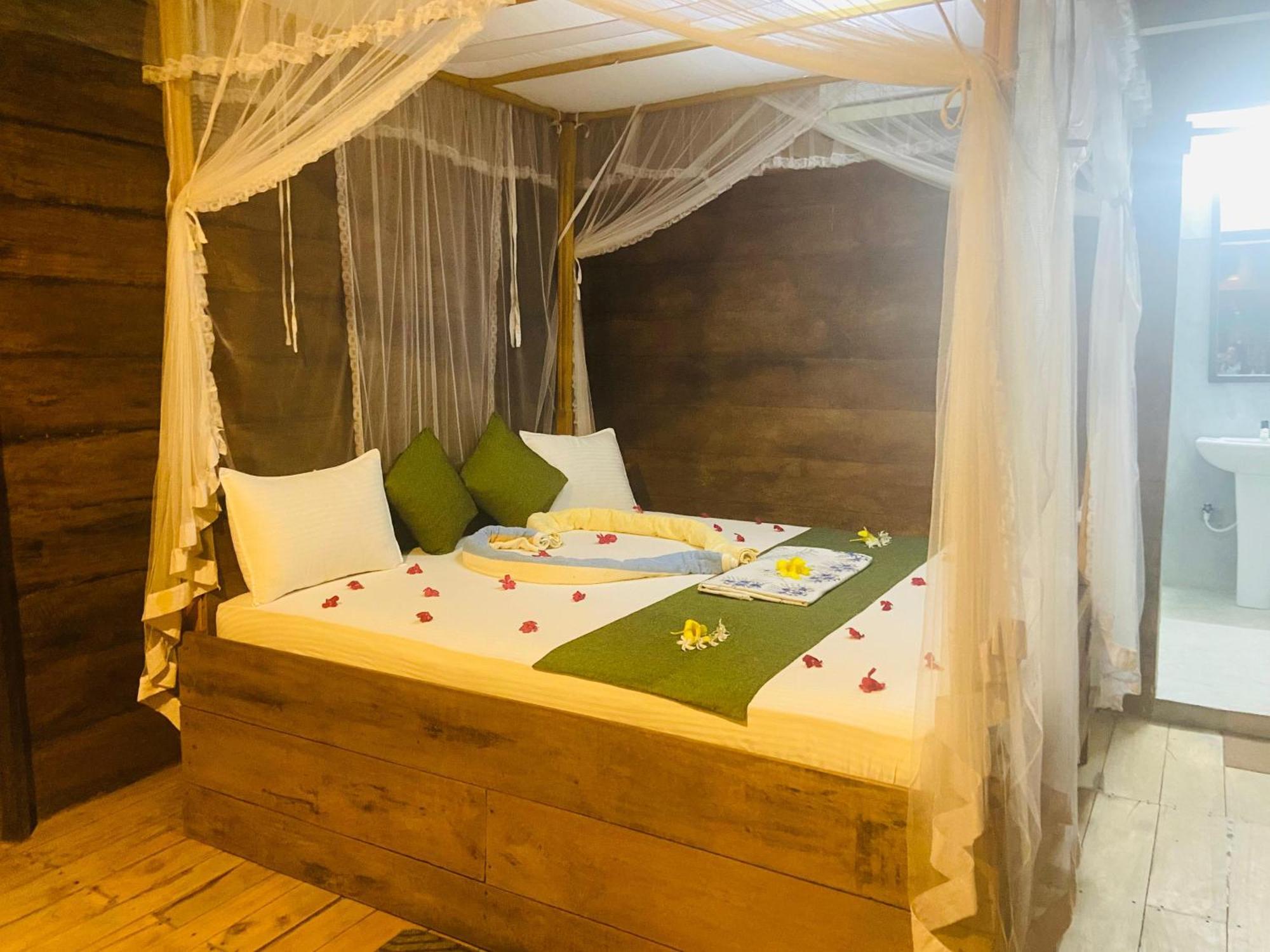 Coconut Island Yala Safari Place Tissamaharama Exteriör bild